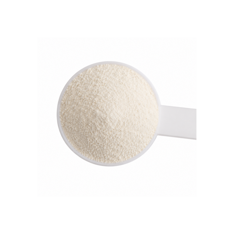 Chicory Root Inulin