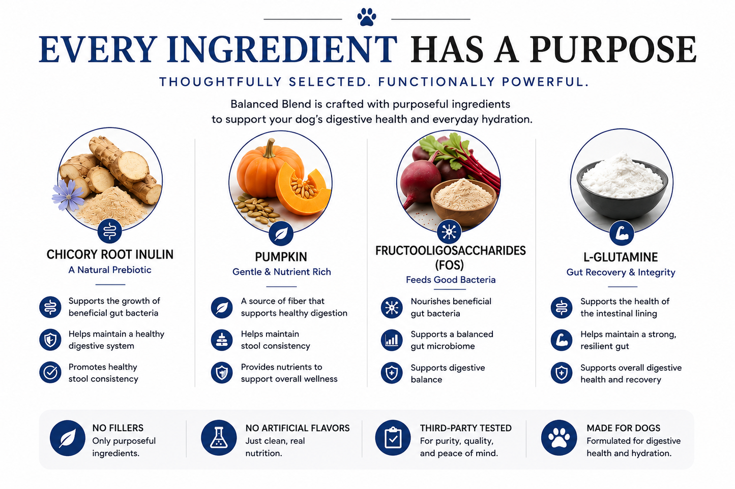 Balanced Blend | Prebiotic Digestive Support | Chicken Recipe (1 or 3 pack)