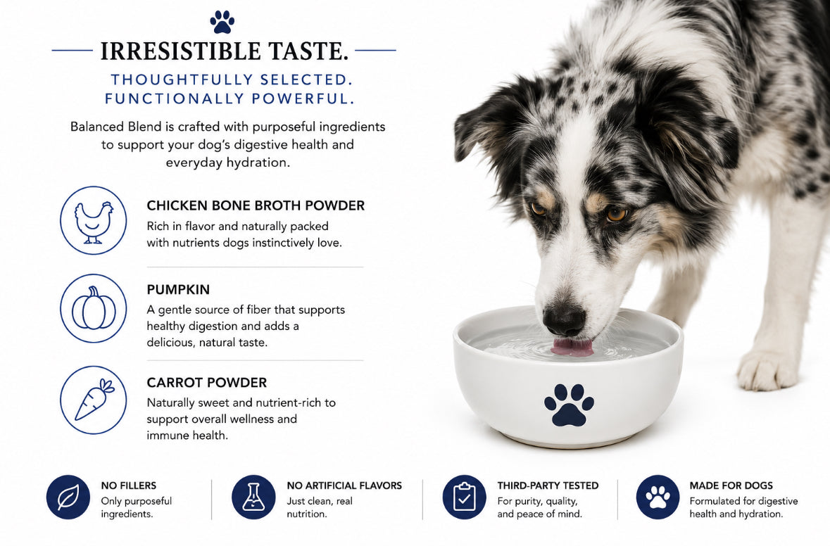 Balanced Blend | Prebiotic Digestive Support | Chicken Recipe (1 or 3 pack)