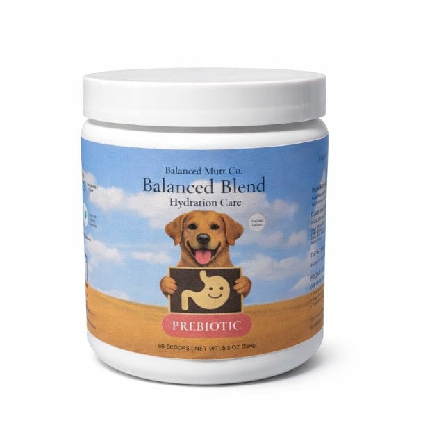 Balanced Blend- Prebiotic Digestive Support Chicken Recipe