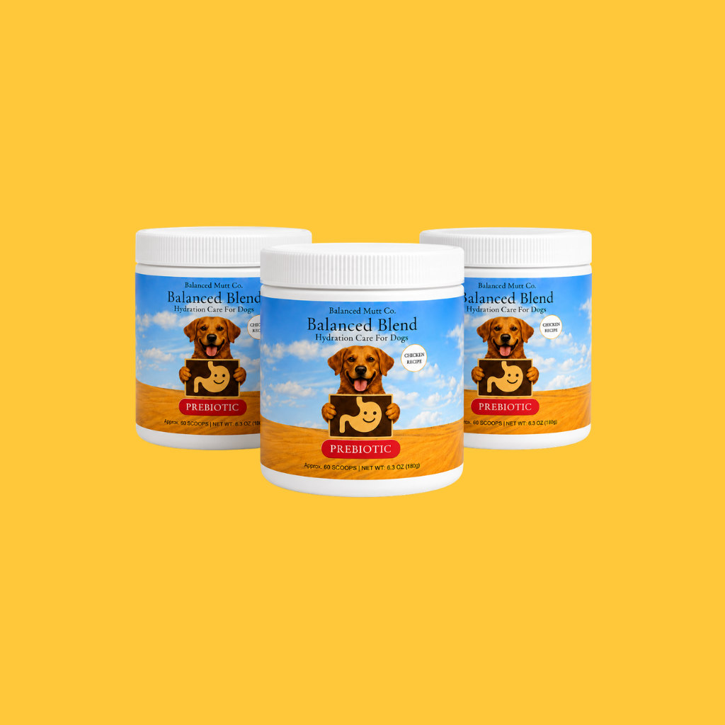 Balanced Blend | Prebiotic Digestive Support | Chicken Recipe (1 or 3 pack)