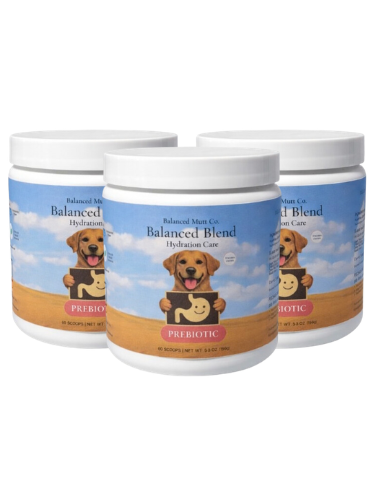 Balanced Blend- Prebiotic Digestive Support Chicken Recipe